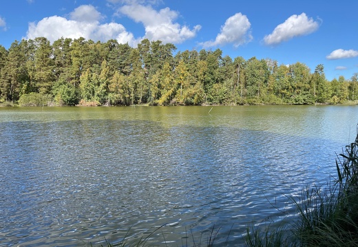 22-10-06 12-34-22 2421